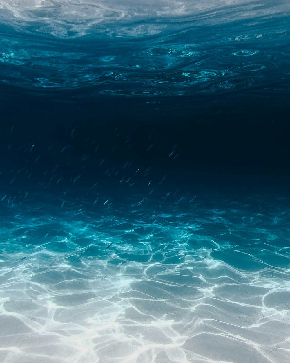 Deep ocean subsea pipeline